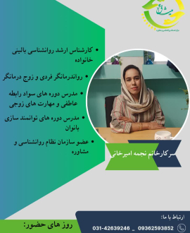 photo_1_2025-09-09_02-55-57